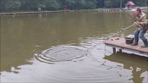 Рыбалка на верхнем водоёме. Клёвое место, Лосиный остров.