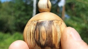 Шкатулка в августовском лесу с рябиной