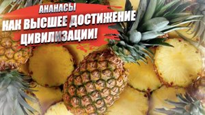 Ананасы и рябчики для пролетариев – как владелец «Корчмы» пытался стыдить Россию!