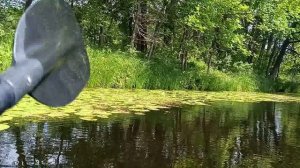 Самарская Амазония 2