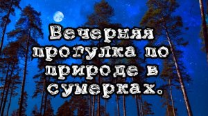 Вечерняя прогулка по природе в сумерках.