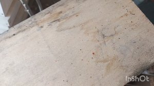 Результат обработки пчёл.