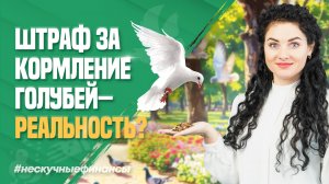 Штрафы за кормление голубей и уборку квартиры