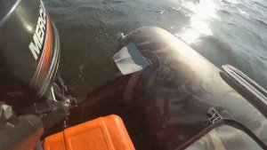 устранение брызг на ТохаМерке 18 и Сузуки 15
