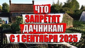 Что запретят дачникам с 1 сентября 2025...