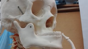 уже забрала