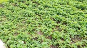 вторник за окном