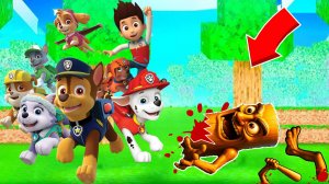 ЩЕНЯЧИЙ ПАТРУЛЬ СПАС ДЕРЕВНЮ ЖИТЕЛЕЙ ОТ ВСЕХ БРЕЙНРОТ В МАЙНКРАФТ