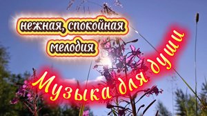 Нежная мелодия для души. Релакс.
