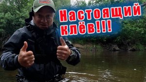 РЕКА ЩЕДРО РАЗДАЁТ!!! В этом месте их собралось не реально много! ГОЛАВЛЬ СНОВА ЖРЁТ!!!