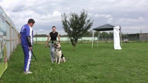 ПРК_Фиелисс Левангур