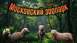 Кустарниковая собака. Собака с коротким хвостом и перепонками на лапах. Кормление. Лето 2025
