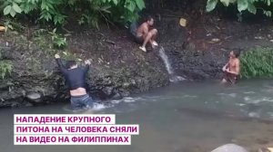 Нападение крупного питона на человека сняли на видео на Филиппинах