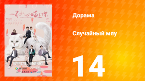 Случайный мяу 1 сезон 14 серия