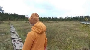 НУ, ПОГОДИ! ВЫПУСК 4