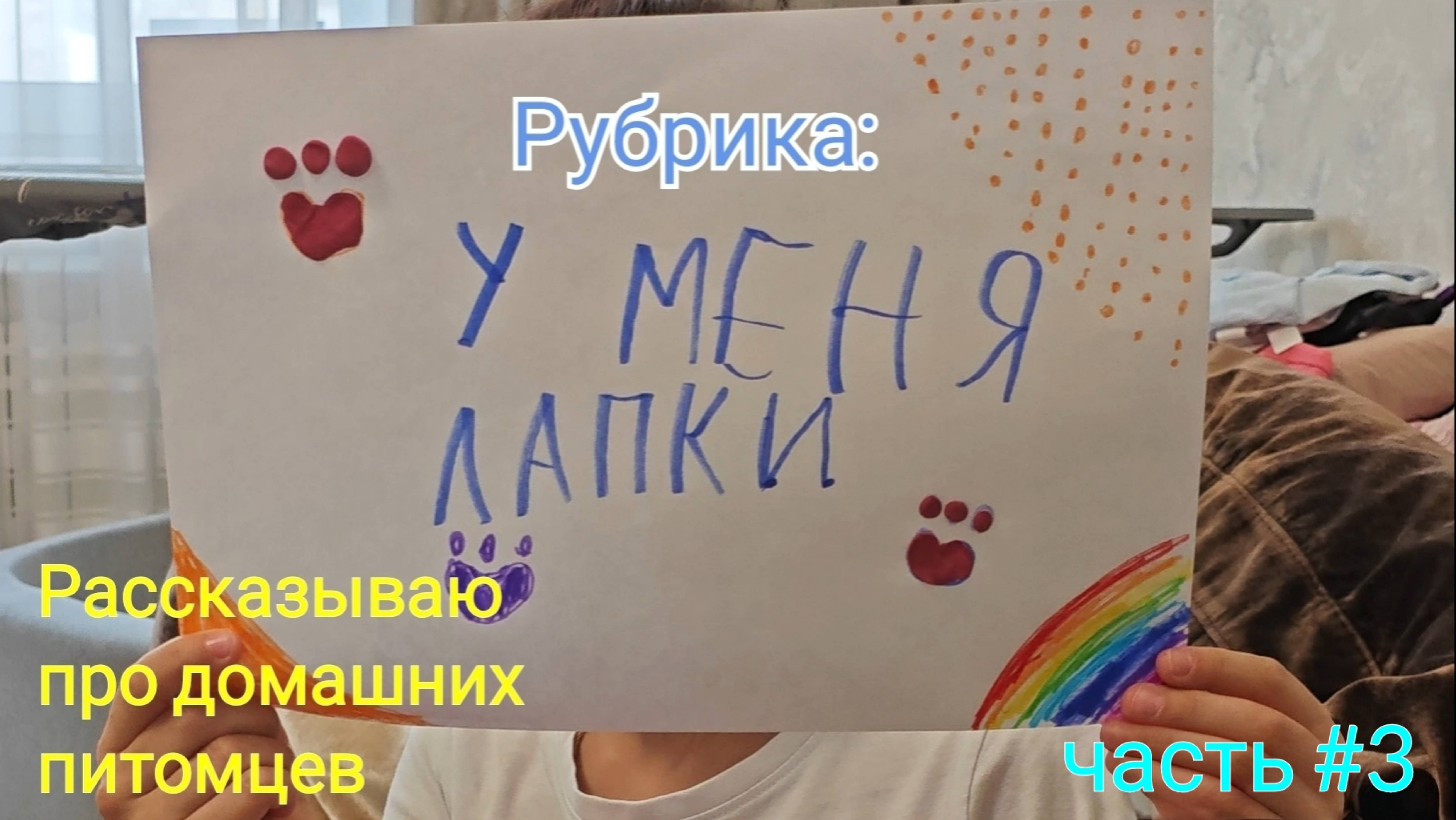 Рубрика У меня лапки часть 3. Про китайскую хохлатую Цветочка кролика Соню и попугайчиках