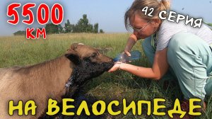Рязань - Владивосток Первый этап велопутешествия. 42 серия.  Усть-Ордынский - озеро Ордынское
