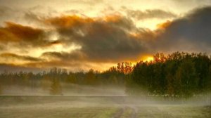 Любимая сердцу земля Поэзия Чановского района Стихотворение Осенний лес