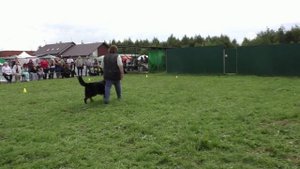 Моншер Вирсаль Рапира