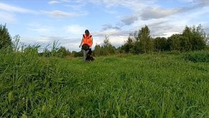 Дик Найти Эль'Тайм Ликан 6 месяцев