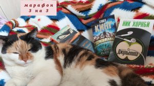 марафон 3 на 3