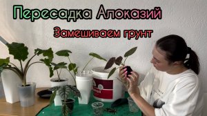 Разговорная пересадка