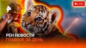Прорыв в Донбассе / Молния довела до суда / Тигрят усыпили в Германии / ГЛАВНОЕ ЗА ДЕНЬ