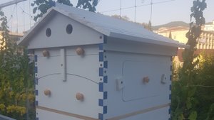 Потоковый улей из Китая. Новый проект "ПЧЁЛЫ".