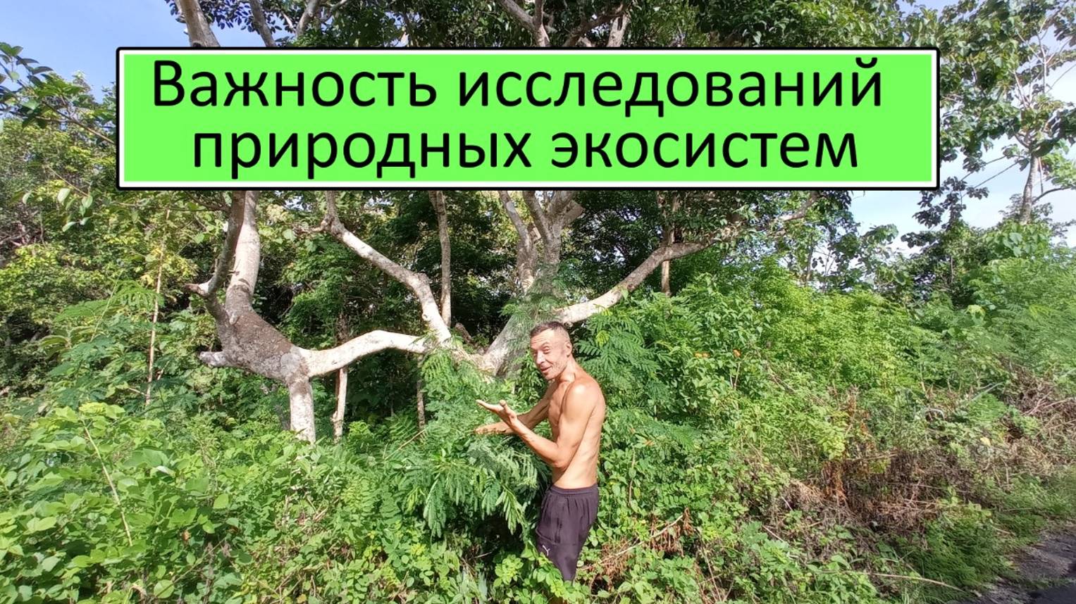 Природная экосистема Индонезии