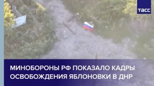 Минобороны РФ показало кадры освобождения Яблоновки в ДНР