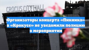 Организаторы концерта «Пикника» в «Крокусе» не уведомили полицию о мероприятии