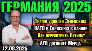 Трамп удивлён Зеленским/НАТО и Евросоюз в панике/Как перехитрить Путина?/AfD догоняет Мерца