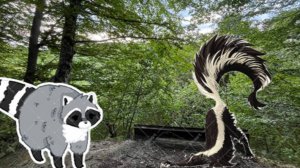 ОЦЕНКА Заброшенный родник и Песчаный склон с Мастером Скунсом