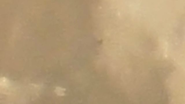 08.08.2025 Moon 23-16 msk