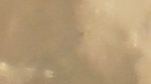 08.08.2025 Moon 23-16 msk