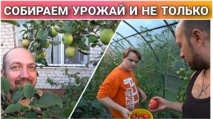 ВЛОГ! Вечером на даче после работы😊/Собираем урожай/Обзор покупок/Выходные на даче/Семейный канал🔥