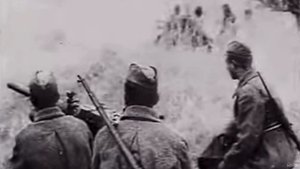 Журавли. Здесь под небом чужим… Исп.Енин Герман.