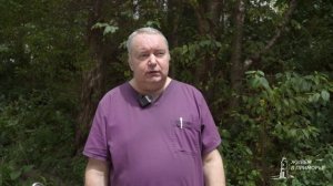 Повышенной активности змей в Приморье нет