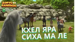 Доруи Каратайи, 34 дакъа, гlалгlай меттала.