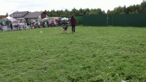 ПРК_Моншер Вирсаль Исполин