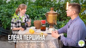 Правильный уход за домашними растениями с Еленой Першиной | Павловский питомник