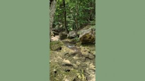 Беспредельность 024-1. Закон причинности