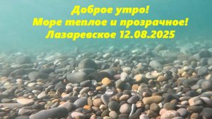 Море теплое и прозрачное! Лазаревское 12.08.2025 Доброе утро! ЛАЗАРЕВСКОЕ СЕГОДНЯ!