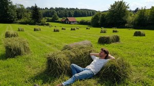 ©После сенокоса. Сергей Весенин-стихи