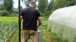 Что такое Медогонка. И как она выглядит.