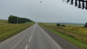 Как будто облока опустились на землю.