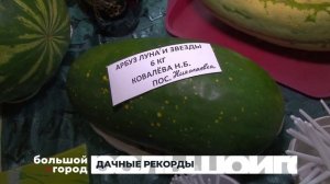 ДАЧНЫЕ РЕКОРДЫ. Большой город 12/08/2025