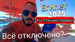 Египет 2025 🇪🇬 НУЖНО ПЛАТИТЬ? Rewaya Majestic Resort 5* ВЫВОД О НОВОМ ОТЕЛЕ