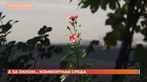 А за окном. 12 августа 2025