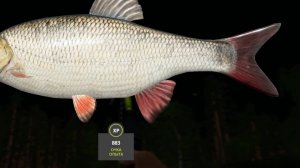 эх рыбалка рыбалочка ! активная ловля